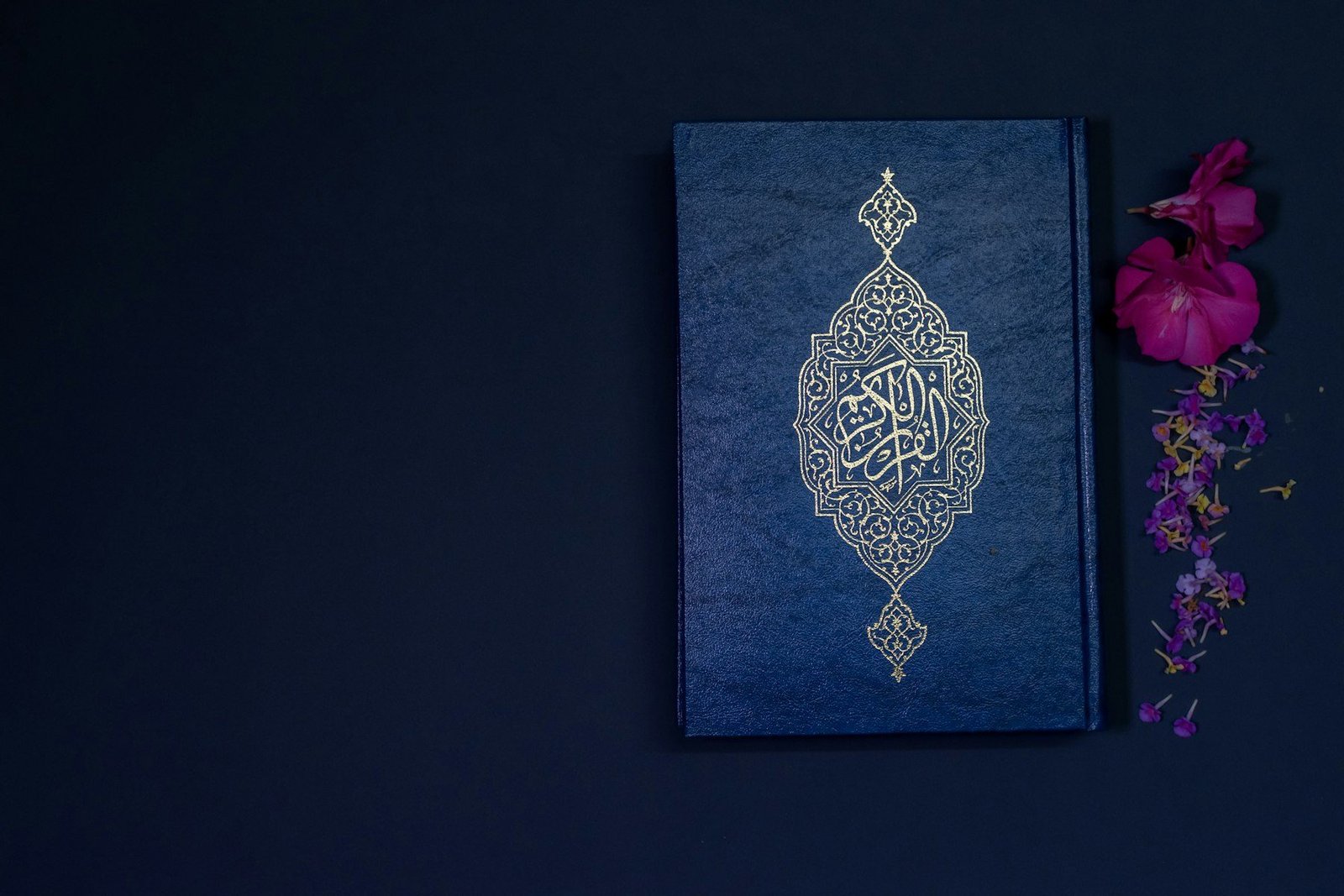 Open Qur'an